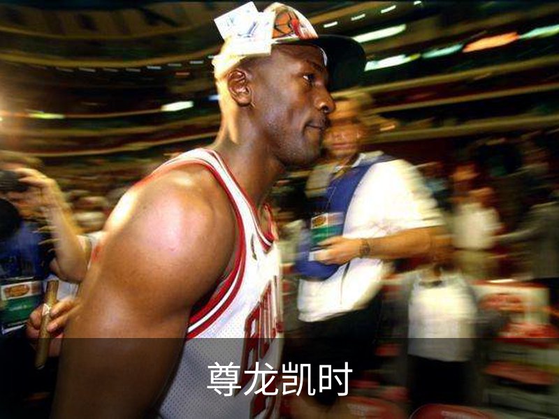 尊龙凯时概况